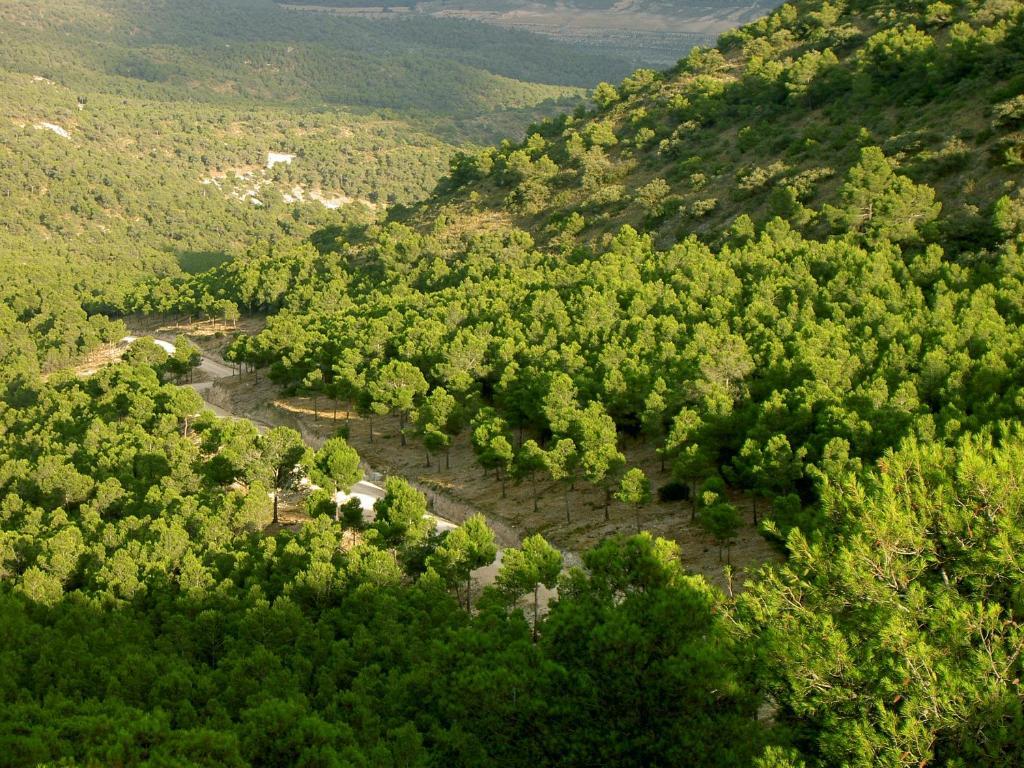 ביאר Hotel Rural Mas Fontanelles מראה חיצוני תמונה